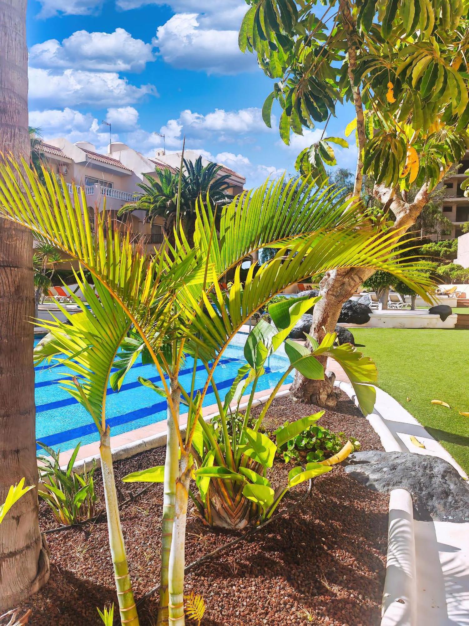Casa Palmu Apartment - A Peaceful And Relaxing Oasis In Golf Del Sur, Tenerife Σαν Μιγκέλ ντε Αμπόνα Εξωτερικό φωτογραφία